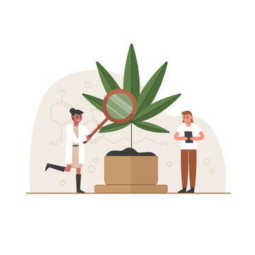 Vector characters exploring cannabis leaf. Laboratory experiments with natural narcotic substances. Development of drugs based on marijuana. Record of research results