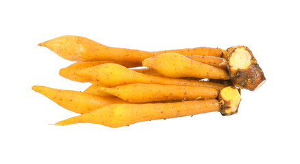 finger root (Krachai) Thai herb isolated on transparent png