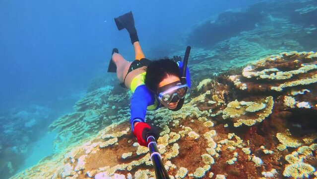 slow motion of asian female bikini girl diving to ocean floor with brown table corals covered by Coralline algae due to pollution global warming extreme weather changing with sunlight during day time