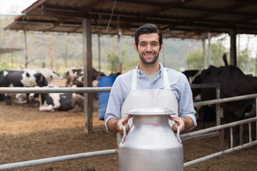 agriculture industry, dairy farming. Dairy farmer male working and holding milk tank in cowshed on...