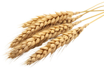 Ears of wheat lie on top of each other. Isolated on a transparent background. KI. 