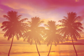 Plakat silhouette palm tree at sunset