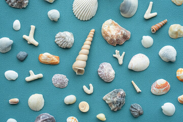 Sea shells pattern. Summery seashells background.