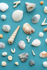 Sea shells pattern. Summery seashells background.