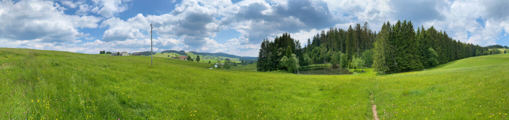 Landschaft im Hochschwarzwald bei Breitnau