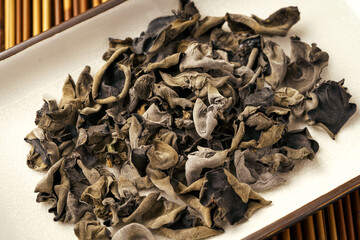 Dried fungus on monochrome background
