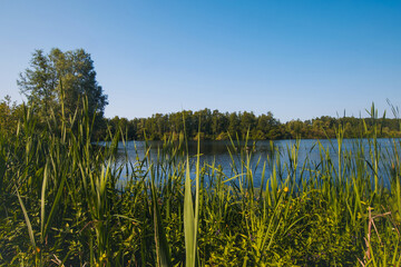 Belgium, Harchies - June 5, 2023 : beautiful view of the Harchies marshes