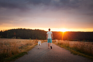 Obraz premium Rear view of man walking with dog together on rural road. Pet owner and his labrador retriever at beautiful summer sunset..