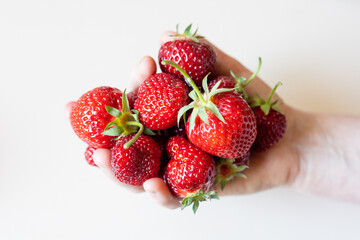 A large ripe strawberry lies on the table. Handful of strawberries in hand.