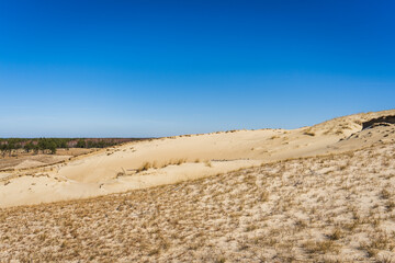 The Gray Dunes, or the Dead Dunes is sandy hills with a bit of green specks at the Lithuanian side of the Curonian Spit