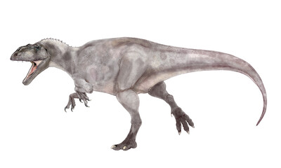 Obraz na płótnie Canvas 現時点で確認されている肉食恐竜では最大級。頭骨は1.5メートルを超えるが、ティラノサウルスのような頑丈なつくりではない。歯は薄く小さく、獲物を噛み砕くよりも鋭利に切り裂くのに適する。白亜紀後期に北米に君臨したティラノサウルスに対して、南米大陸の覇者である。ただ、頭骨の再現については、やや不自然さがあり、故意に長さを稼いだような生き物としてのバランスの悪さがある。イラストはその点に配慮した。