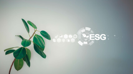 Sustainable development on renewable energy and growing ecological on green energy. social and governance and impact investing. sustainable, funds, internet of thing, energy, ai, free space for text.