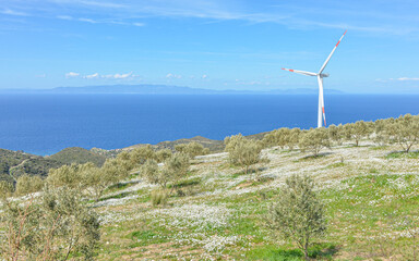 Fototapeta na wymiar scenic view of Aegean sea and Lesvos island from Karaburun Peninsula (Sarpincik, Izmir province, Turkiye) 