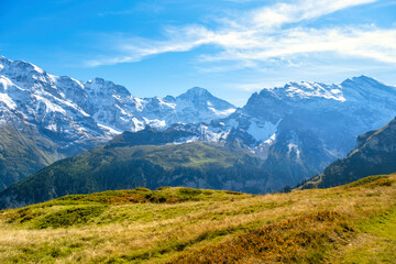 Fototapeta na wymiar Idyllic summer panorama landscape in the Alps with fresh green meadows and snowcapped mountain tops in the background. Switzerland