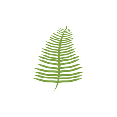 Fern logo icon