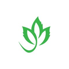 Leaf logo icon