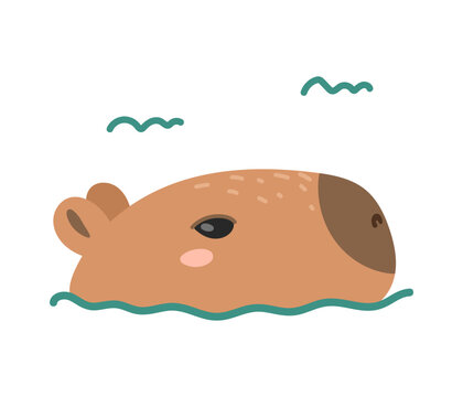 Cartoon capybara. Cute capybara face icon