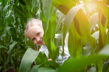 Having Fun in Nature. Child Kid Hiding in Corn Maze Field. Active Summer Holiday in Nature, Game...
