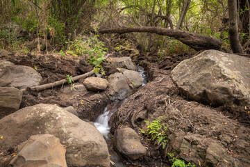 Beautiful natural scenery with the water coming down from the heights of Gran Canaria through the ravine of Los Cernícalos