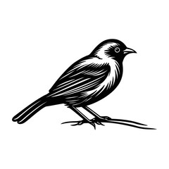 Black silhouette bird. illustration of exotic bird.