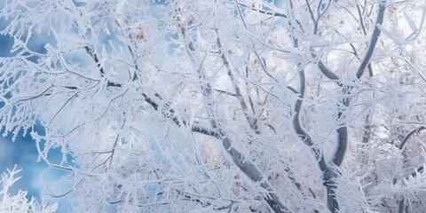 Snowy winter branches closeup, white hoarfrost on trees, nature background