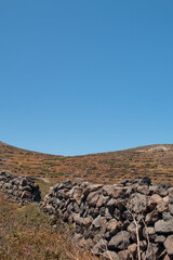 Terraced gardens and rock walls on Santorini