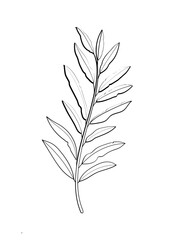 Wedding Outline Flower Decoration