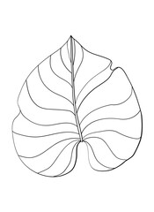 Fototapeta premium Wedding Outline Flower Decoration