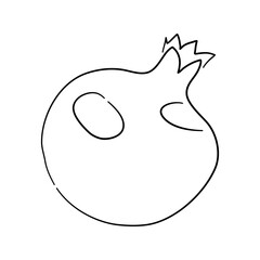 Pomegranate. Hand drawn outline doodle icon. Transparent isolated on white background. Vector illustration.