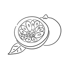Vintage line art icon with Passion fruit sketch isolated on white background. Hand drawn vector illustration for web design.