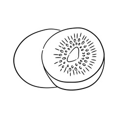 Kiwi. Hand drawn outline doodle icon. Transparent isolated on white background. Vector illustration.