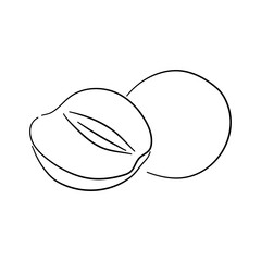 Plum. Hand drawn outline doodle icon. Transparent isolated on white background. Vector illustration.