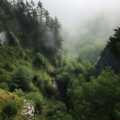 A view from a height of a mountain peak with green trees in the fog ar 5: 3
