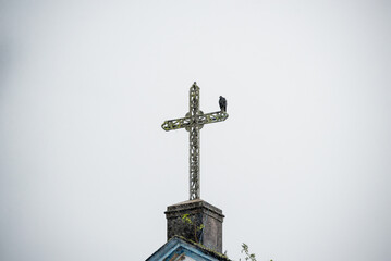 A vulture on top of the cross of a catholic church.
