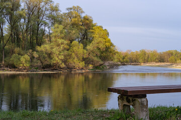 lake in the forest
