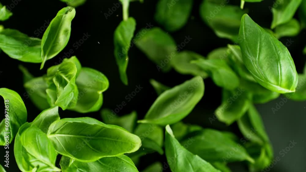 Aufkleber super slow motion of rotating basil leaves on black background. ultimate perspective and motion. fil