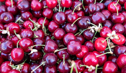 large quantities of vivid cherries on sale at the market