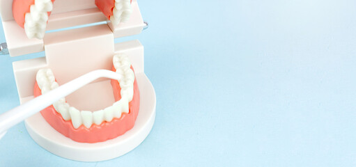 Dental Teeth Model dentures with oral cavity irrigator that cleans teeth on blue background,...