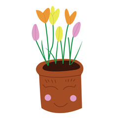 flowers in pot