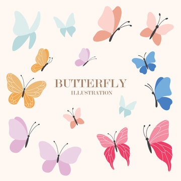 flying butterfly illustration