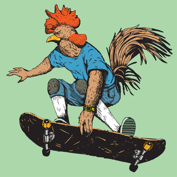 Rooster skater doing a grab trick. Skater rooster, mascot of a skateboarding team doing a indie grab dressed in streetwear with knee pads. Sport illustration concept.