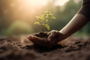 hand planting a tree, planting nature, planting a seed, harvesting nature, generative ai