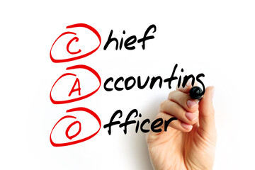 CAO - Chief Accounting Officer acronym, business concept background