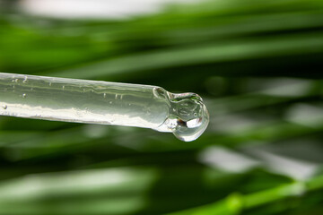 Dropping current transparent gel from an eyedropper against a background of green leaves