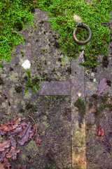An old headstone slowly disappears under the moss in a cemetery