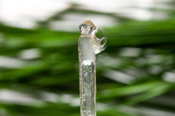 Dropping current transparent gel from an eyedropper against a background of green leaves