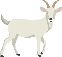 Farm animals set in flat style isolated on white background. Vector illustration. Cute cartoon animals collection: goat.