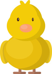 Newborn little cute chick, Small baby chick emergence from egg, cracked shell in laying hens nest.