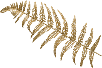 LAYER-LAB_0311212500_LC