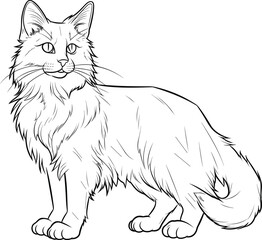 Obraz premium Turkish Angora Cat, colouring book for kids, vector illustration